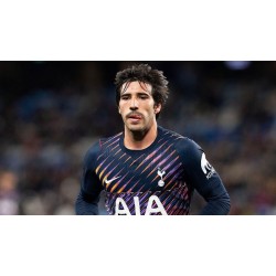 Diesen Sommer hat Tottenham Hotspur bereits sechs erfahrene Spieler verpflichtet Diesen Sommer hat Tottenham Hotspur bereits sechs erfahrene Spieler verpflichtet